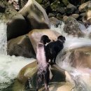 계곡의아침 이미지