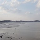 삽교호 관광지 티스토리