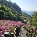 봉화산 한스경제