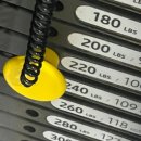 1퍼센트짐 이미지