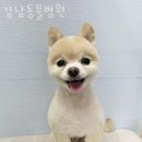 오거리동물병원 이미지