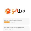 놀러오개애견유치원애견호텔 - 강남구 논현로 168 | 놀러오개애견유치원애견호텔