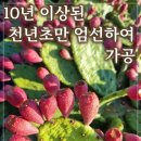 참하은식품