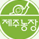 제주농장 이미지