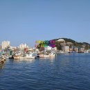 양지민박 이미지