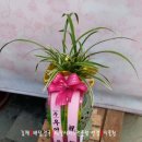 김해축산업협동조합 배합사료공장 이미지