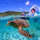 파름 | 미야코지마 맛집 탐방 &amp; 꼭 해야 할 '인생 바다거북' 스노클링 완벽 정리