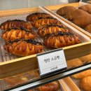 수원시 팔달구 행궁로 | 행궁동 명란소금빵 4000원, 수원 소금빵 맛집 팔달제과