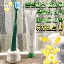 튼튼맘스 임산부 무불소 비건 마일드 치약 유자민트 향 구입 후기