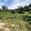 지평면사무소 이미지