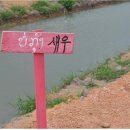 오수영농장 Daum카페