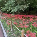 상림수산 이미지