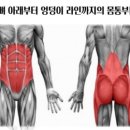 필라테스하우스 네이버블로그
