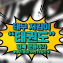 연광태권도 이미지