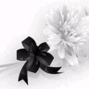 광산구-099 이미지