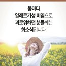 은행나무한의원 이미지