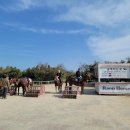 더마파크 공연장 이미지