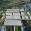 티에스팜 이미지