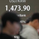 뉴 리더 이미지