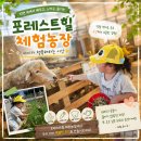 주니농장 | 경기남부 용인 아이와 가볼만한곳 포레스트벨 동물먹이주기, 블루베리농장 체험후기