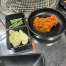 가비조아 이미지