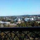 강정동-32 이미지