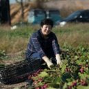 에버그린농장 네이버블로그