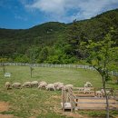 남해-179 이미지