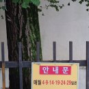 재래시장파주금릉점 | 파주 재래시장 문산자유시장 오일장 장날정보 및 방문후기