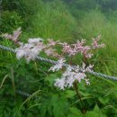 세석가는길 이미지