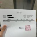 우리가축 인공수정 | 유산 후 재임신 도전! 인공수정 시작(1,2차 후기)