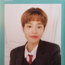 원시즌 이미지