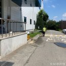 천안 아산 회사 5년 조경관리 후기
