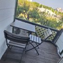 푸조와곰솔 이미지