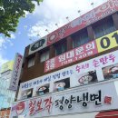 칠보각평양냉면 | 대구 평양냉면 맛집 칠보각 평양냉면 물냉면 굴림만두 추천