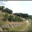 서홍동-1 이미지