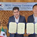 펠릭스팜 이미지