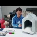 디어멍멍 이미지