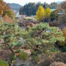 숲속펜션 이미지