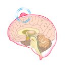 브니엘요양병원 이미지