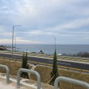 오랜만에 포항 갔어요. 이미지