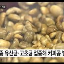 순한커피