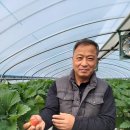 김정기농장 이미지