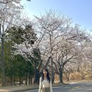 송백로-3 | 진주에서 블랙 이글스 직관🪖✈️진주 공군교육사령부 부대 행사&amp;벚꽃 명당&amp; PX 추천템 &amp; 진주 냉면 맛집...