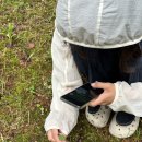 세븐일레븐 태백산광장점 이미지