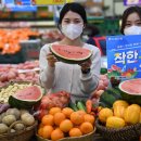 농산물마트 - 용인시 처인구 백옥대로 634-1 | 농산물마트