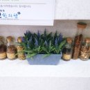 동선한의원 네이버블로그