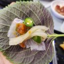 오늘도매횟집 | 율하 횟집으로 추천하는 총각도매횟집 모듬회 후기