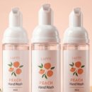 벚꽃 공중화장실 이미지