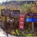 상시동1리 Daum카페